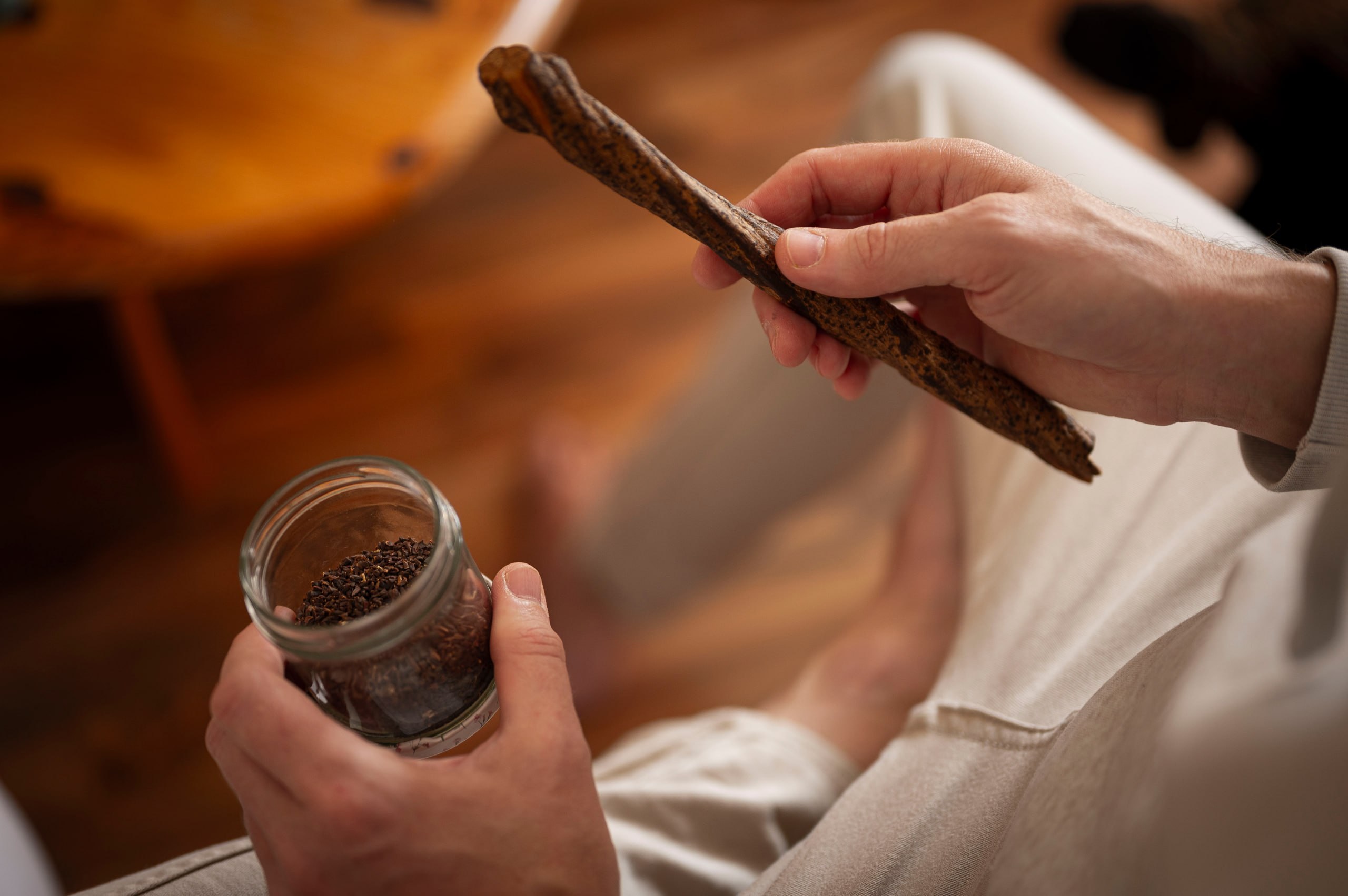 Ayahuasca-Liane und Samen der Steppenraute (Peganum harmala)