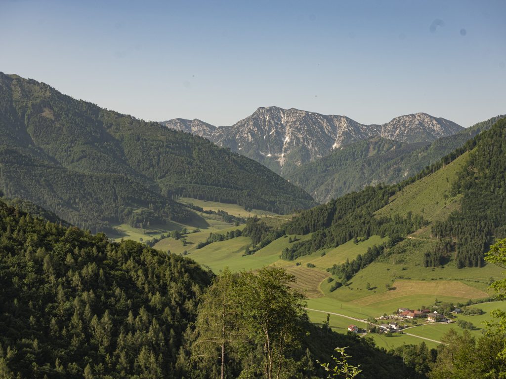 Im Nationalpark Kalkalpen